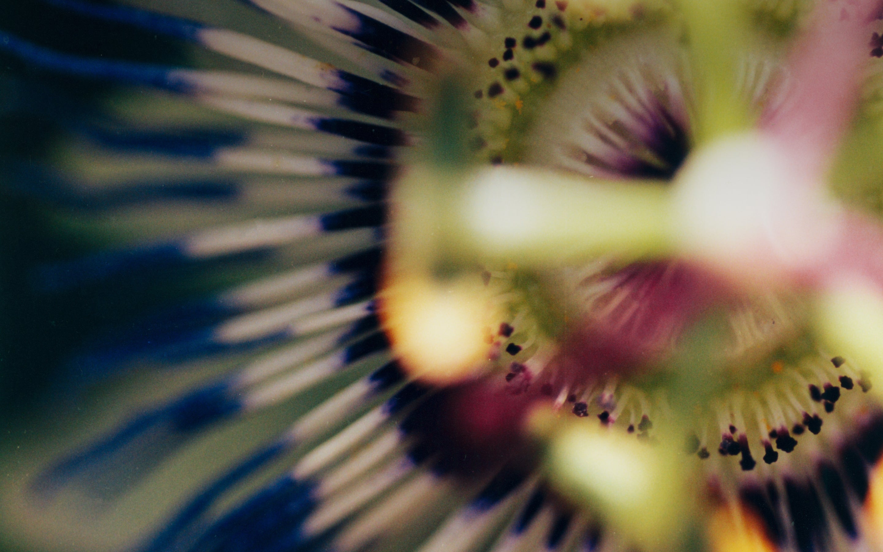 The <em>pioneering science</em> behind our clinically tested, efficacious formulas