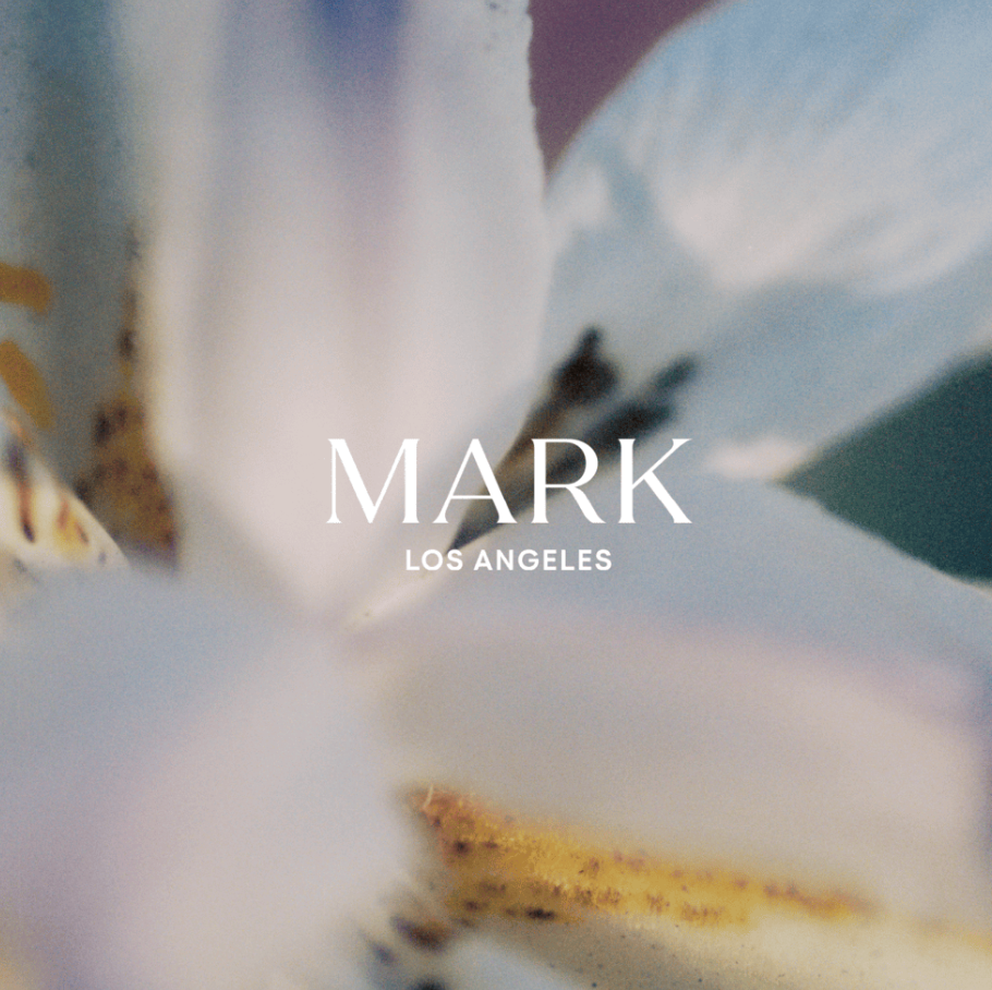 Science-Backed Skincare Brand Mark Los Angeles Launches Retail And Spa Distribution With Formula Fig